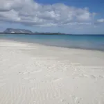 Trilocale Iris 300 Mt San Teodoro (Sardinia)