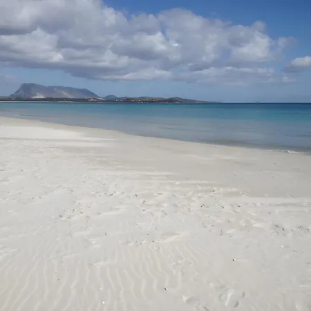 Trilocale Iris 300 Mt San Teodoro (Sardinia)