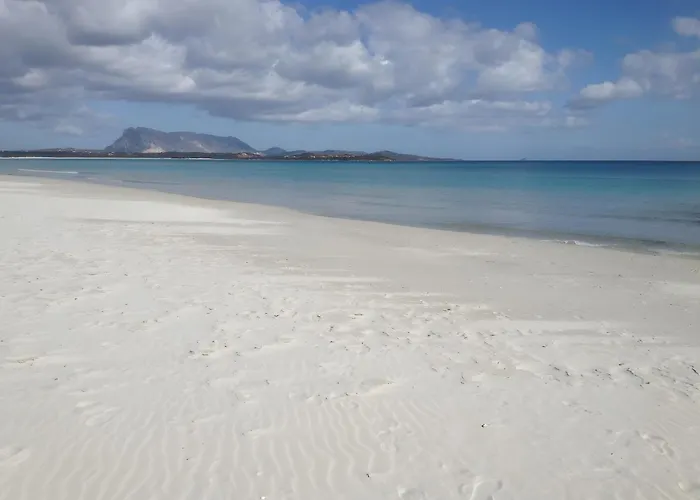 Trilocale Iris 300 Mt San Teodoro (Sardinia)